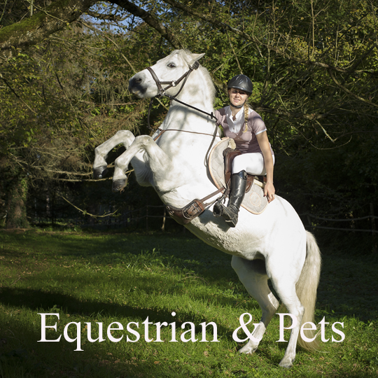 Equestrian photographers in Dordogne France | Equestrian photography in Dordogne, Bergerac, Eymet, Perigeuex, Beaumont du Perigord, Issigeac, Villereal, Sarlat, Cahors