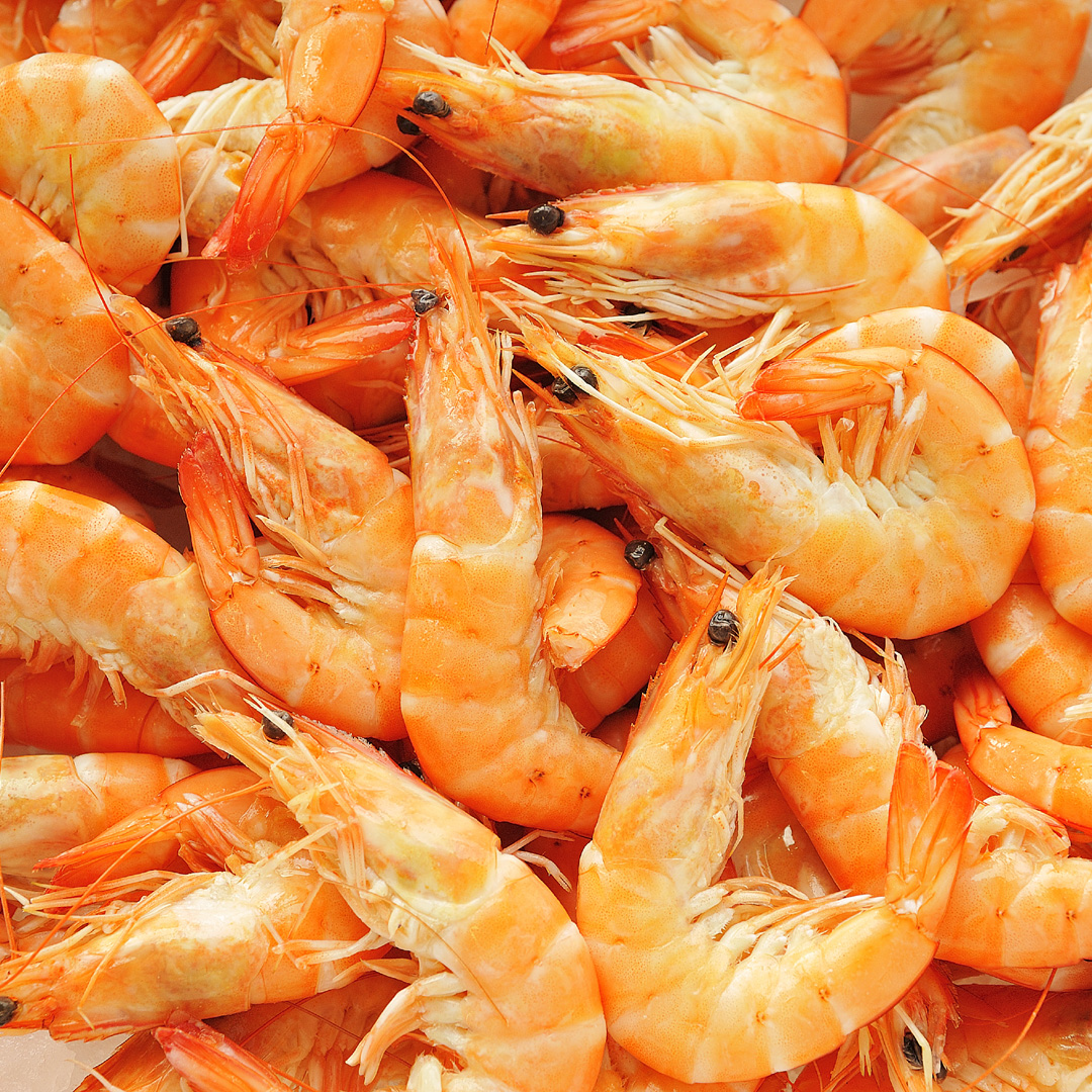 Food photographers in Dordogne, covering Bergerac, Bordeaux, Limoges, Toulouse