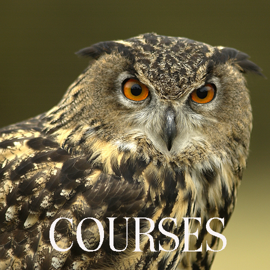 Photography courses in Dordogne, photography workshops in Bergerac, Eymet, Villereal, Monflanquin, Dordogne & Lot et Garonne, France