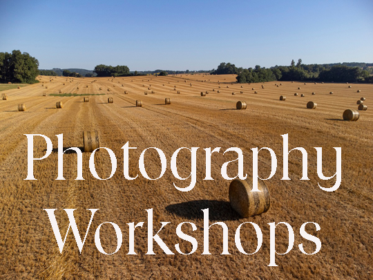 Photography courses in Dordogne, photography workshops in Bergerac, Eymet, Villereal, Monflanquin, Dordogne & Lot et Garonne, France. Landscapes, Portriats, General Photography Courses.